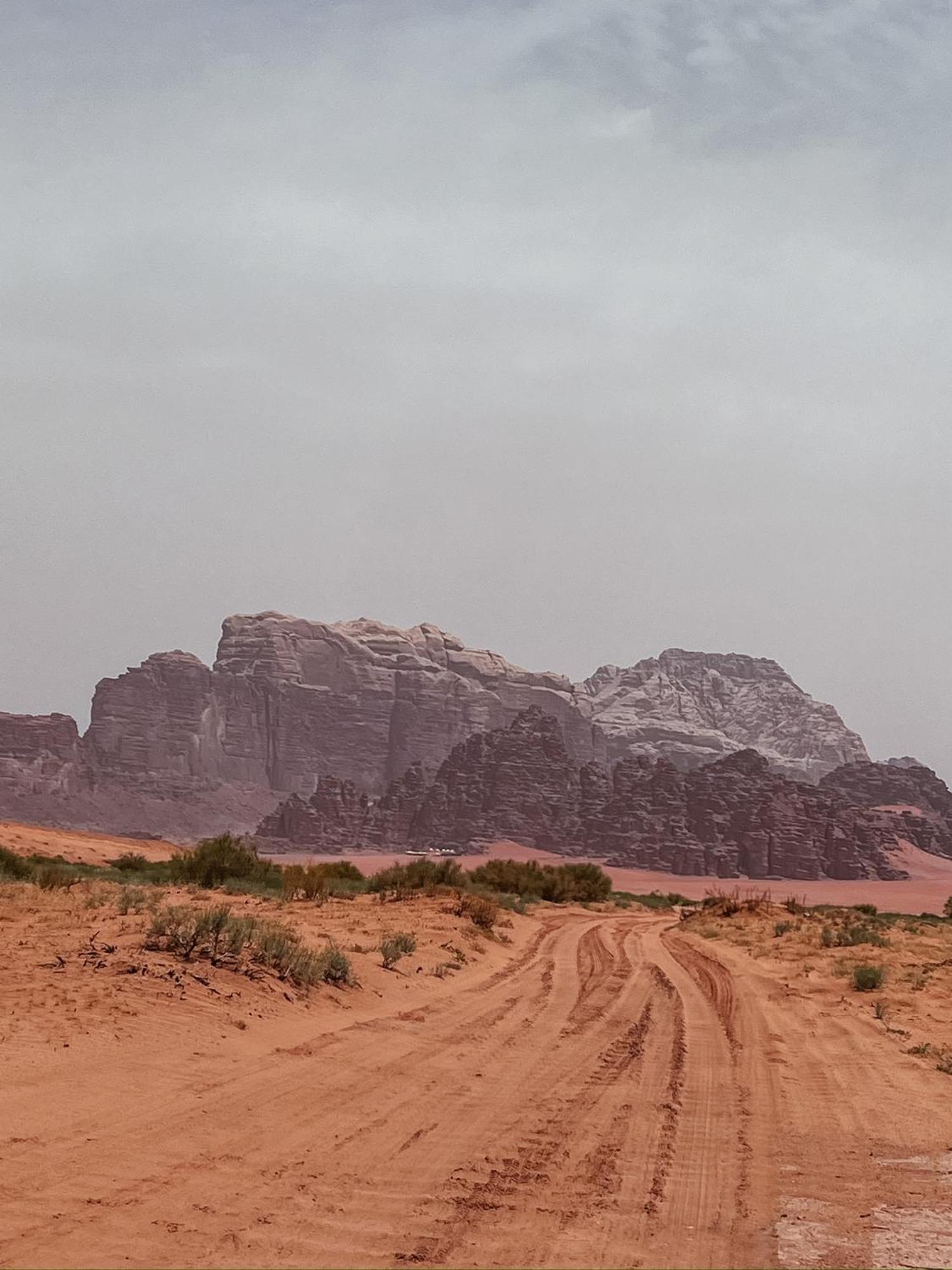 Desert Bird Camp Wadi Rum Buitenkant foto