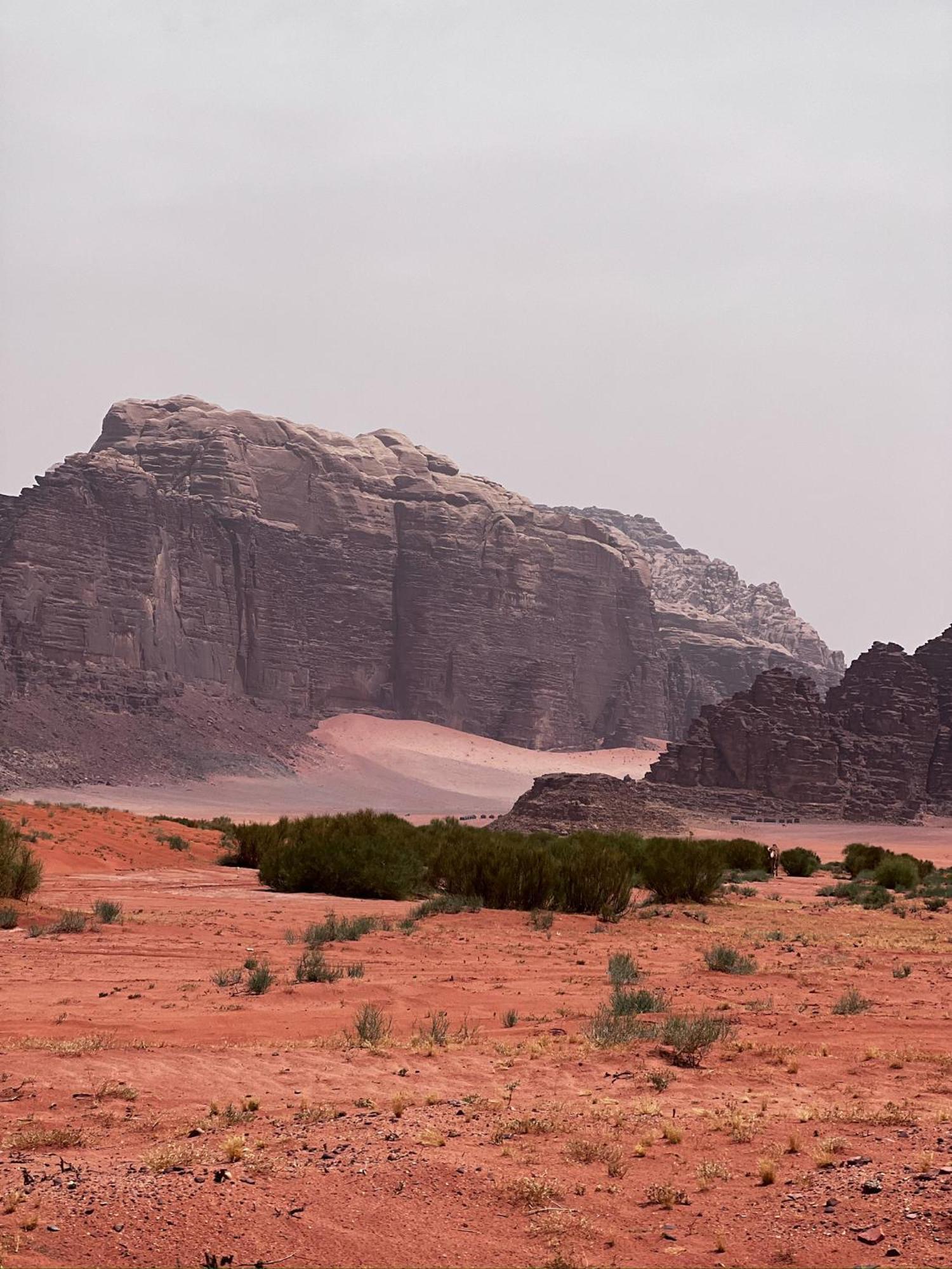 Desert Bird Camp Wadi Rum Buitenkant foto