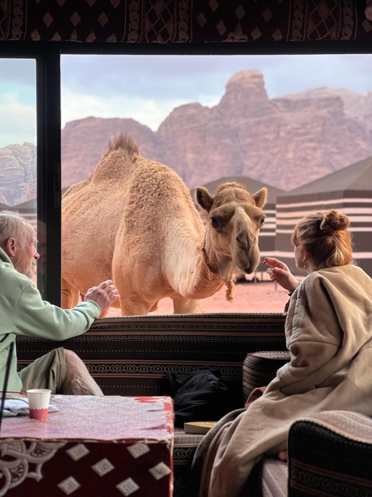 Desert Bird Camp Wadi Rum Buitenkant foto